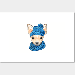 Chihuahua breed in knitted hat and scarf Posters and Art